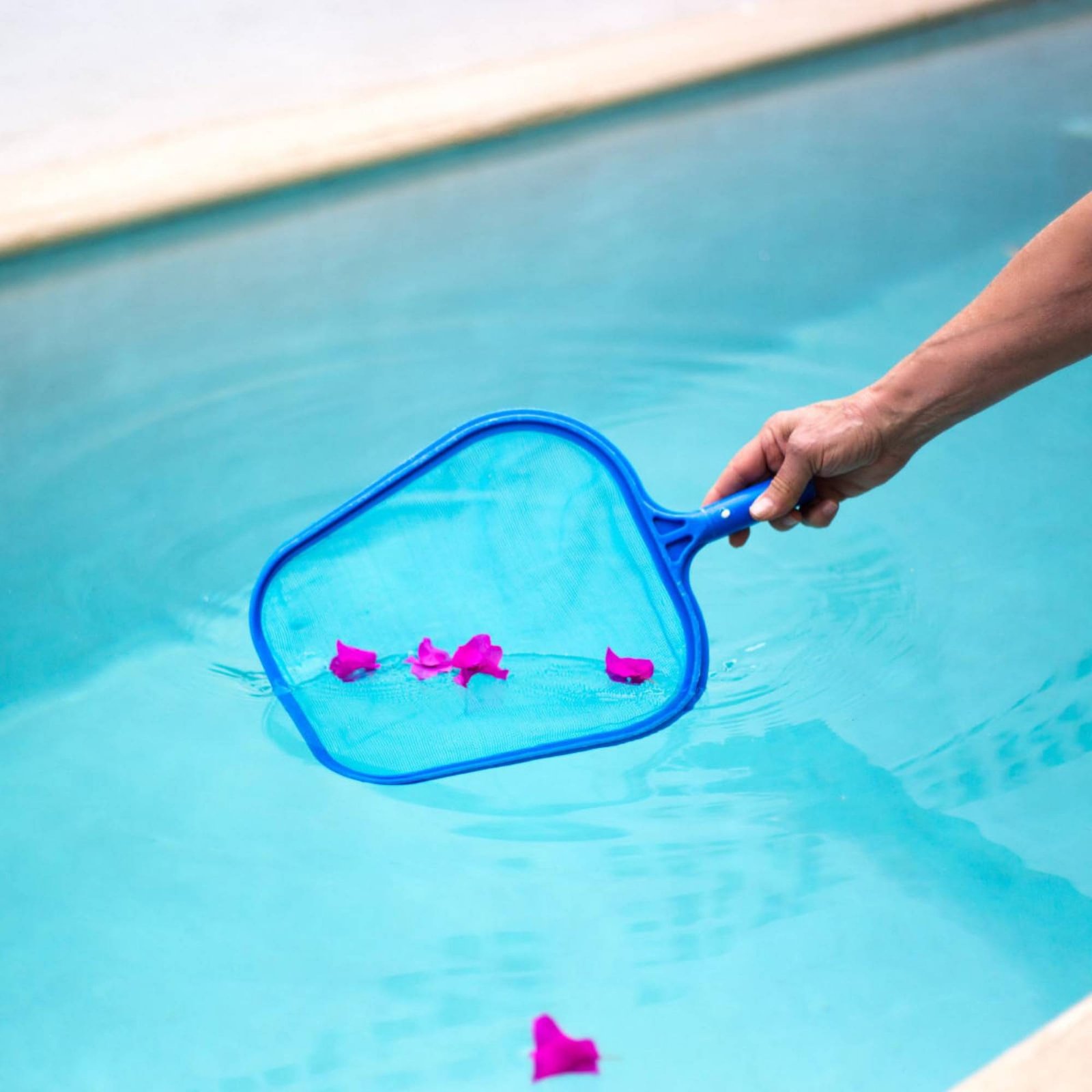 Afneembaar zwembadbladnet Eenv - Pool Skimmer Net recensie en prijs